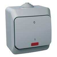 Spínač 2-pólový (2So) 16AX/250V (SS) IP44 sivá Cedar Plus (Schneider)